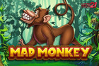 Mad Monkey H5